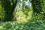 1125 Scenic River Road 71.67 Acres - Photo 17