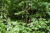 1125 Scenic River Road 71.67 Acres - Photo 24