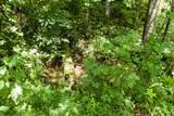 1125 Scenic River Road 71.67 Acres - Photo 25