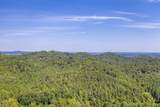 1125 Scenic River Road 71.67 Acres - Photo 6