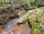 Tract 5 Euchee Road - Photo 10