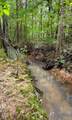 Tract 5 Euchee Road - Photo 11