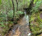 Tract 5 Euchee Road - Photo 12