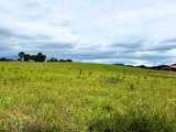 Tract 5 Euchee Road - Photo 16
