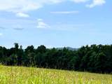 Tract 5 Euchee Road - Photo 2