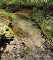 Tract 5 Euchee Road - Photo 22