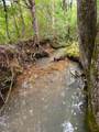 Tract 5 Euchee Road - Photo 4
