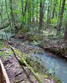 Tract 5 Euchee Road - Photo 5