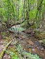 Tract 5 Euchee Road - Photo 9