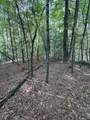 Lot 3 Eads Bluff Road - Photo 4