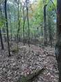 Lot 3 Eads Bluff Road - Photo 5