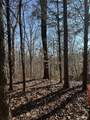 Lot 2 Lower River Road - Photo 3