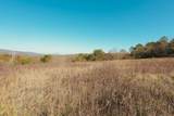 0 White Oak Road - Photo 18