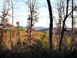 16.75 Ac Euchee Road - Photo 1