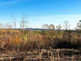 16.75 Ac Euchee Road - Photo 10