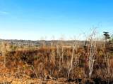 16.75 Ac Euchee Road - Photo 11