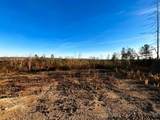 16.75 Ac Euchee Road - Photo 13