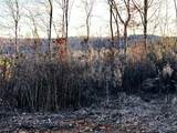 16.75 Ac Euchee Road - Photo 15