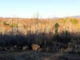 16.75 Ac Euchee Road - Photo 17