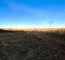 16.75 Ac Euchee Road - Photo 19