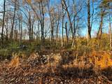 16.75 Ac Euchee Road - Photo 2
