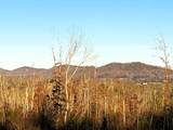 16.75 Ac Euchee Road - Photo 21