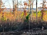 16.75 Ac Euchee Road - Photo 24