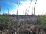 16.75 Ac Euchee Road - Photo 27