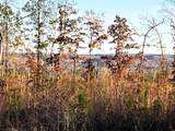 16.75 Ac Euchee Road - Photo 3
