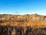 16.75 Ac Euchee Road - Photo 30