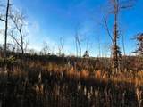 16.75 Ac Euchee Road - Photo 4