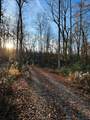 16.75 Ac Euchee Road - Photo 6