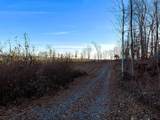 16.75 Ac Euchee Road - Photo 8