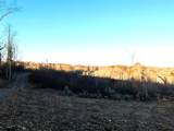 16.75 Ac Euchee Road - Photo 9