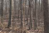 0 Palmer Fire Tower Road - Photo 29