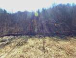 26 Acres Burger Branch County Rd 464 - Photo 1