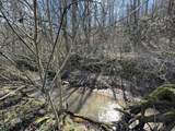 26 Acres Burger Branch County Rd 464 - Photo 2