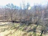 26 Acres Burger Branch County Rd 464 - Photo 4