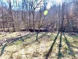 26 Acres Burger Branch County Rd 464 - Photo 5