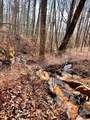 309 Tree House Trail - Photo 2