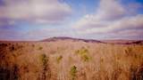 309 Tree House Trail - Photo 3