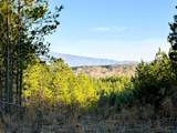 00 Freedom Way - Photo 1