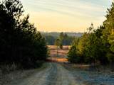 00 Freedom Way - Photo 11
