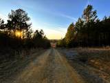 00 Freedom Way - Photo 12
