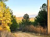 00 Freedom Way - Photo 27