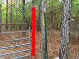 00 Freedom Way - Photo 41
