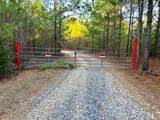 00 Freedom Way - Photo 42