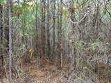 00 Freedom Way - Photo 43