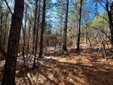 2a Redman Ridge Lane - Photo 10
