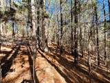 2b Redman Ridge Lane - Photo 21